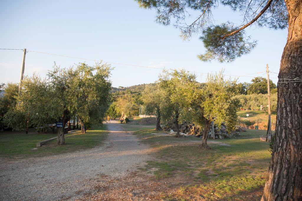 Agriturismo Poggetto Larciano Eksteriør bilde